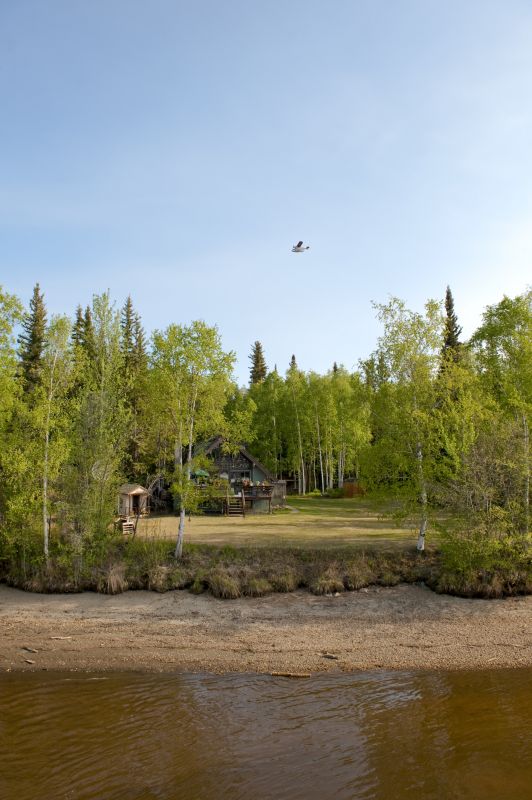 Building Site Clearing