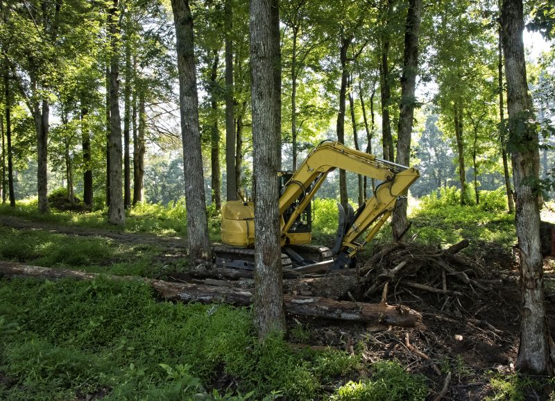 Land Clearing Contractors