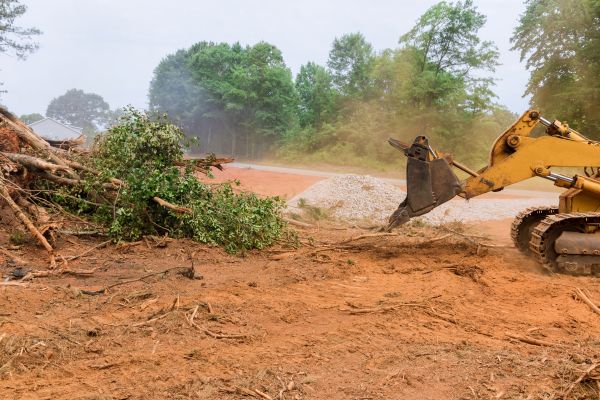 Cost of Ground Clearing in Golden