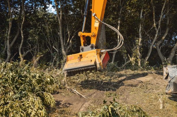 Cost of Brush Removal Service in Golden